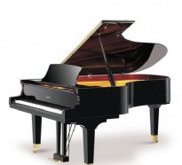 里特米勒GP213R1钢琴